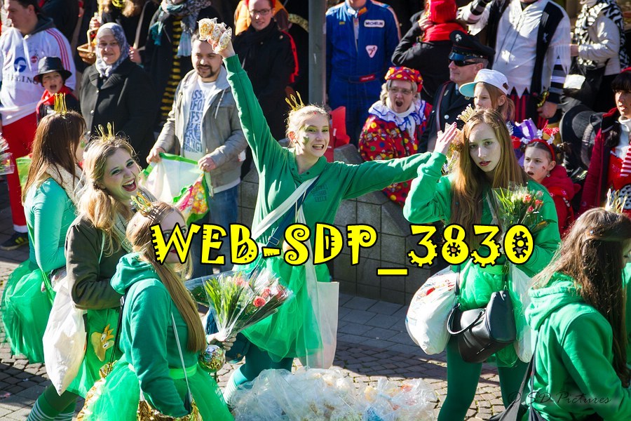 WEB SDP 3830