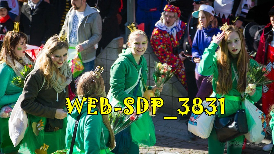 WEB SDP 3831