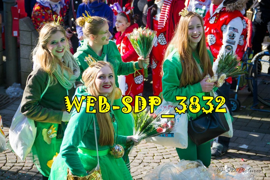 WEB SDP 3832