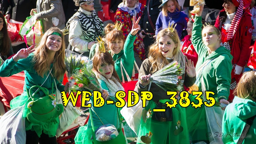 WEB SDP 3835