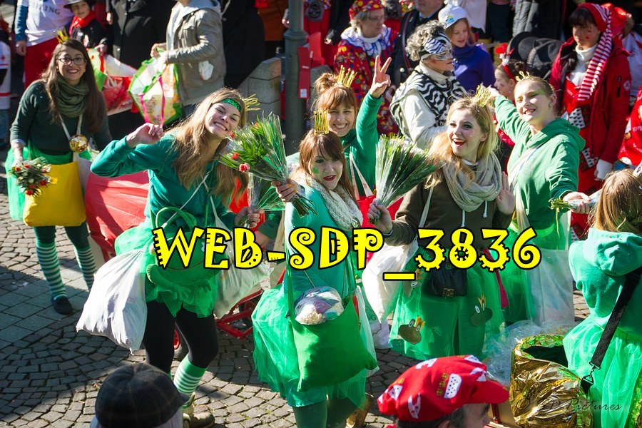 WEB SDP 3836