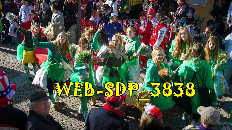 WEB SDP 3838