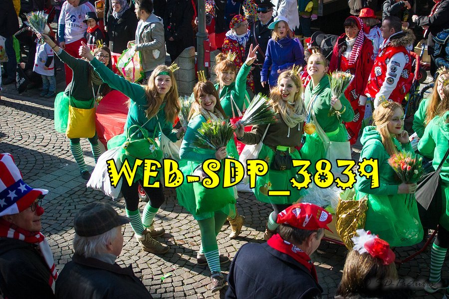 WEB SDP 3839