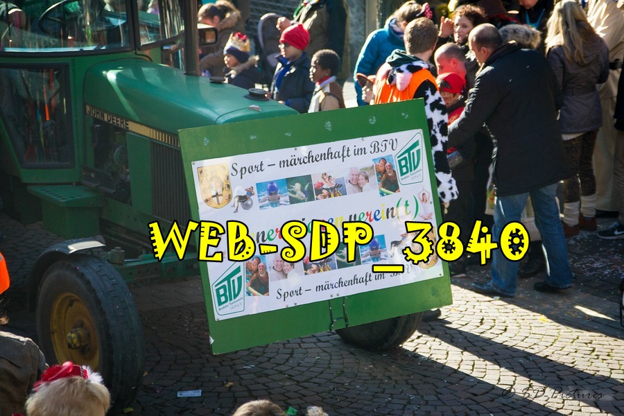 WEB SDP 3840