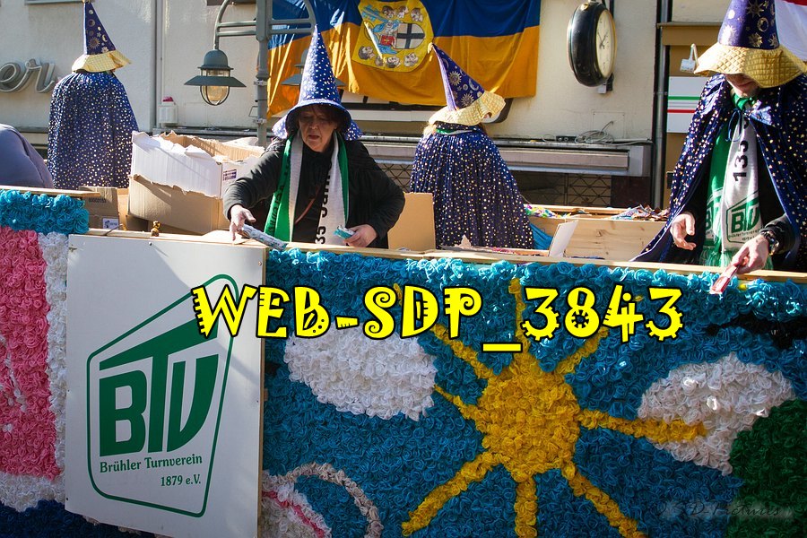 WEB SDP 3843