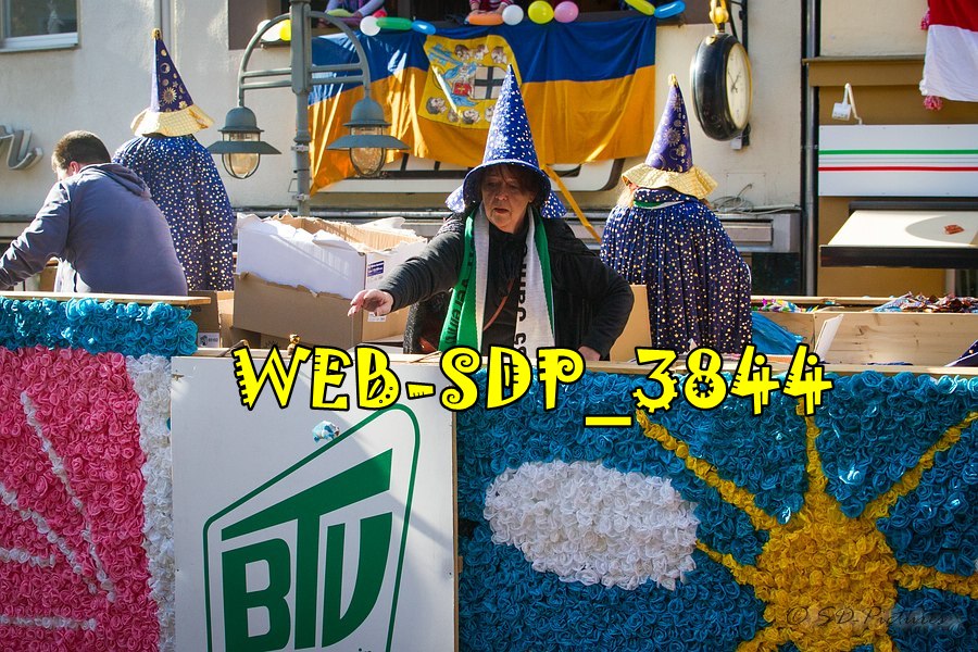 WEB SDP 3844