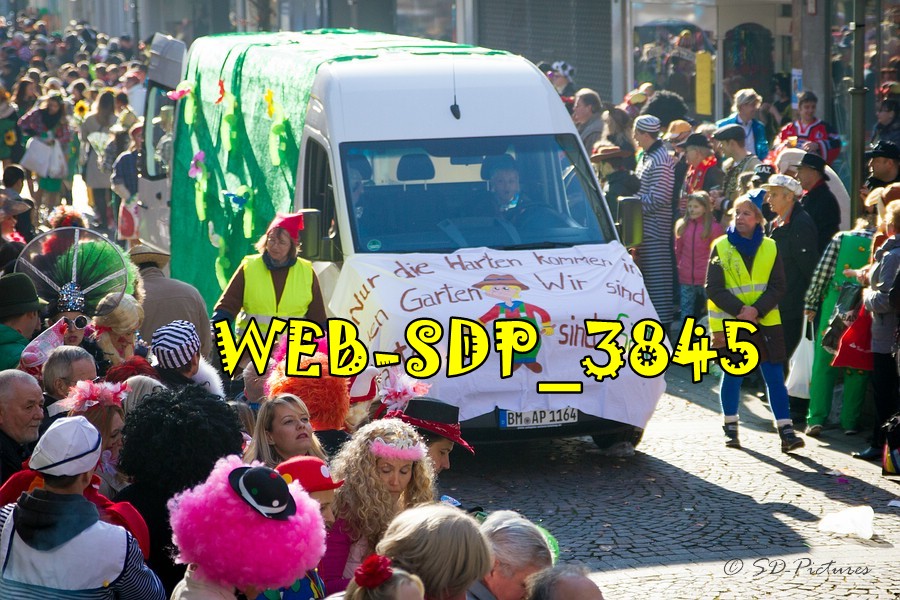 WEB SDP 3845