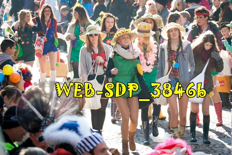 WEB SDP 3846b