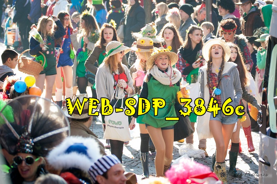 WEB SDP 3846c