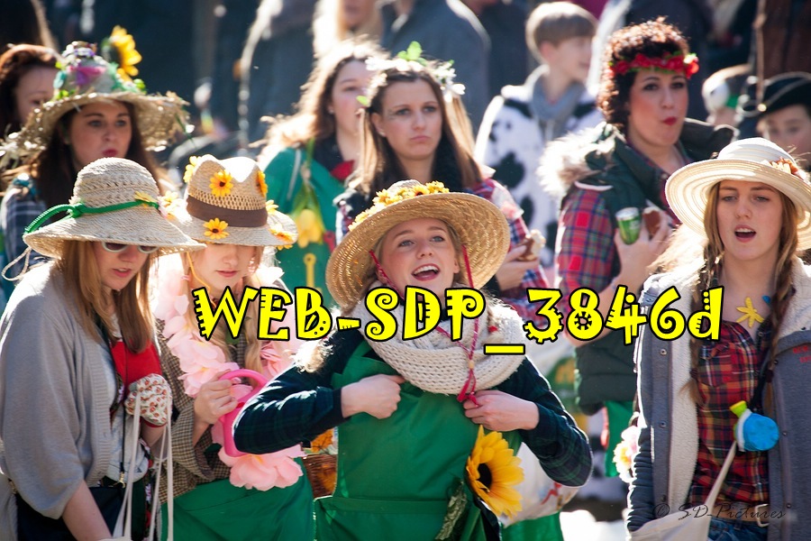 WEB SDP 3846d