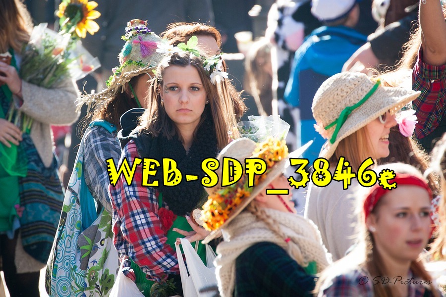 WEB SDP 3846e