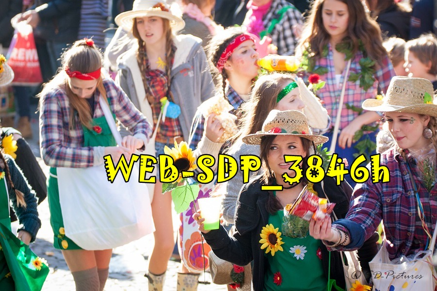 WEB SDP 3846h