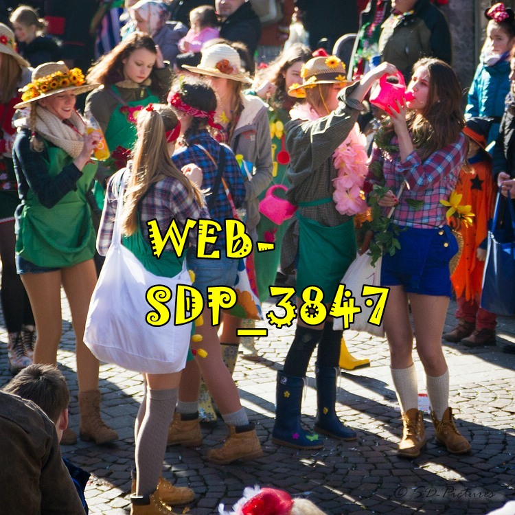 WEB SDP 3847