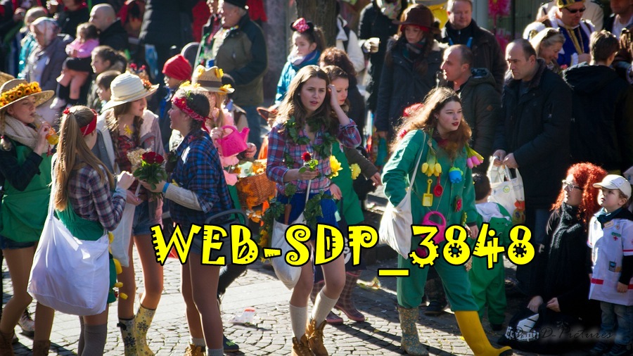 WEB SDP 3848