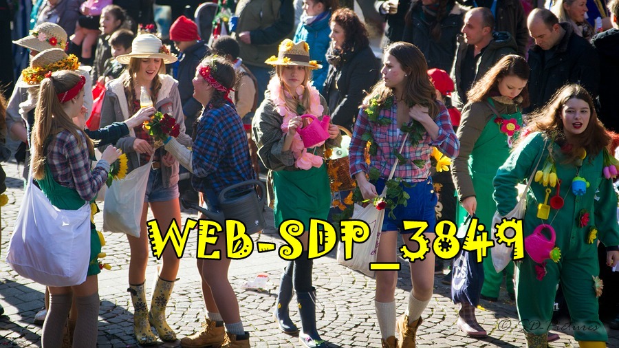 WEB SDP 3849