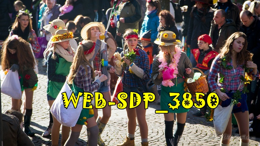 WEB SDP 3850