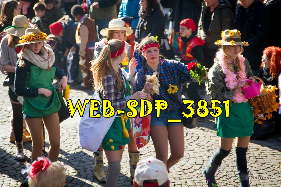 WEB SDP 3851
