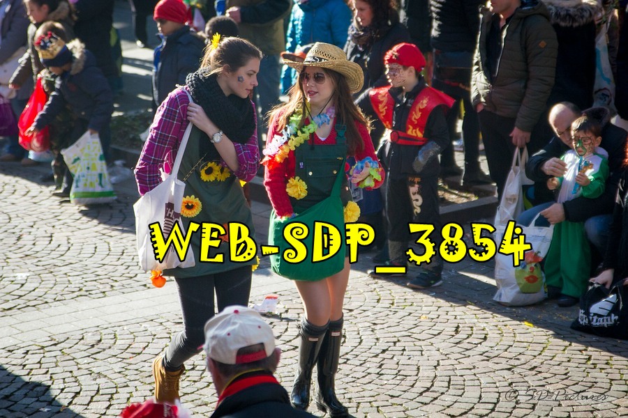 WEB SDP 3854