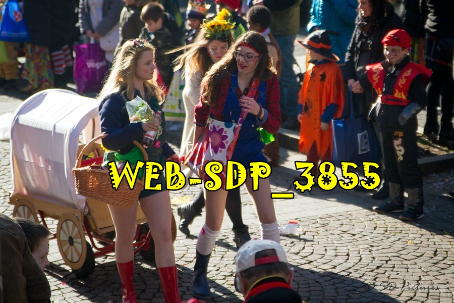 WEB SDP 3855