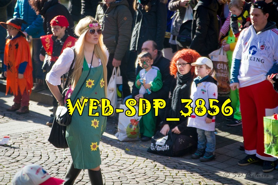 WEB SDP 3856