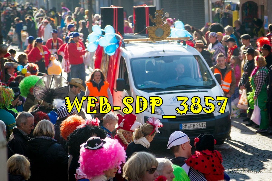 WEB SDP 3857