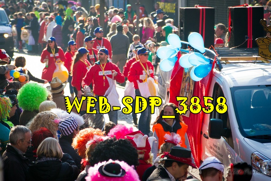 WEB SDP 3858