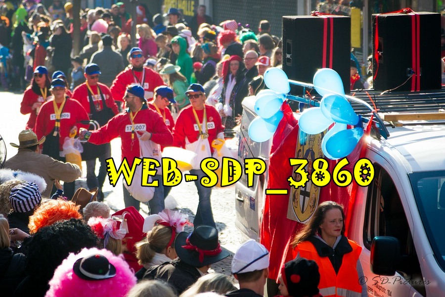 WEB SDP 3860