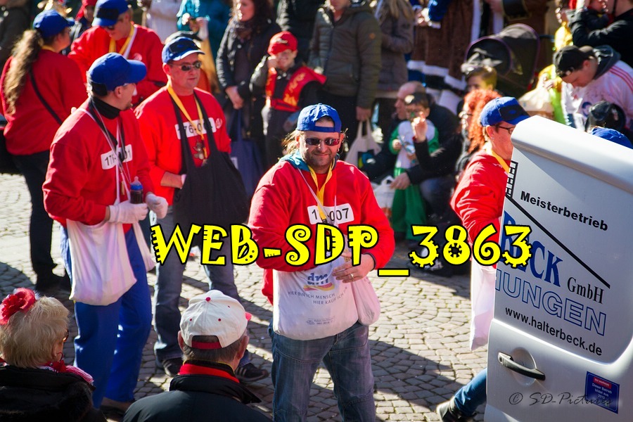 WEB SDP 3863