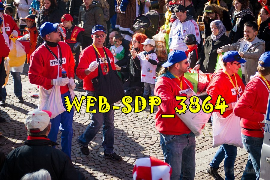 WEB SDP 3864