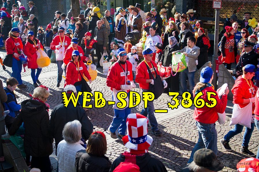 WEB SDP 3865