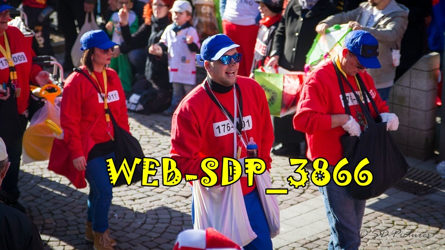 WEB SDP 3866