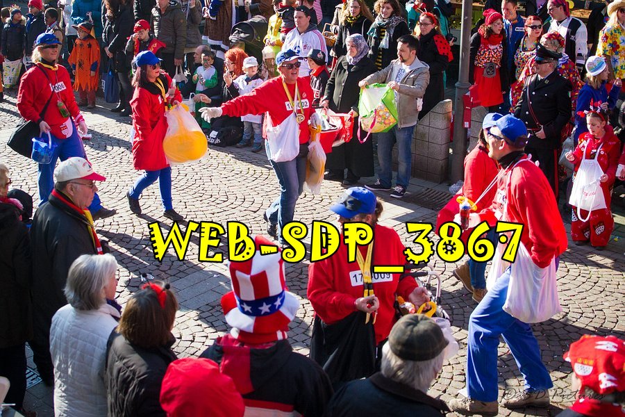 WEB SDP 3867