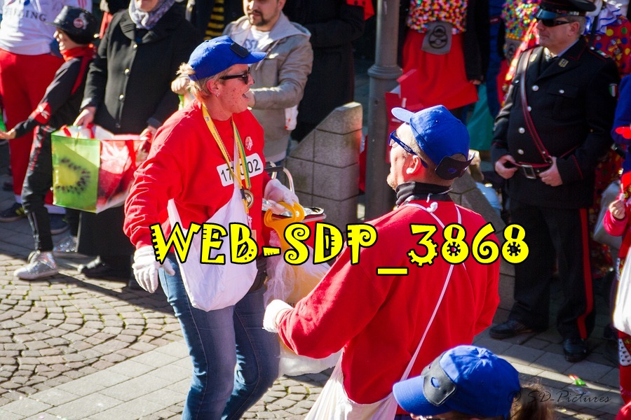 WEB SDP 3868