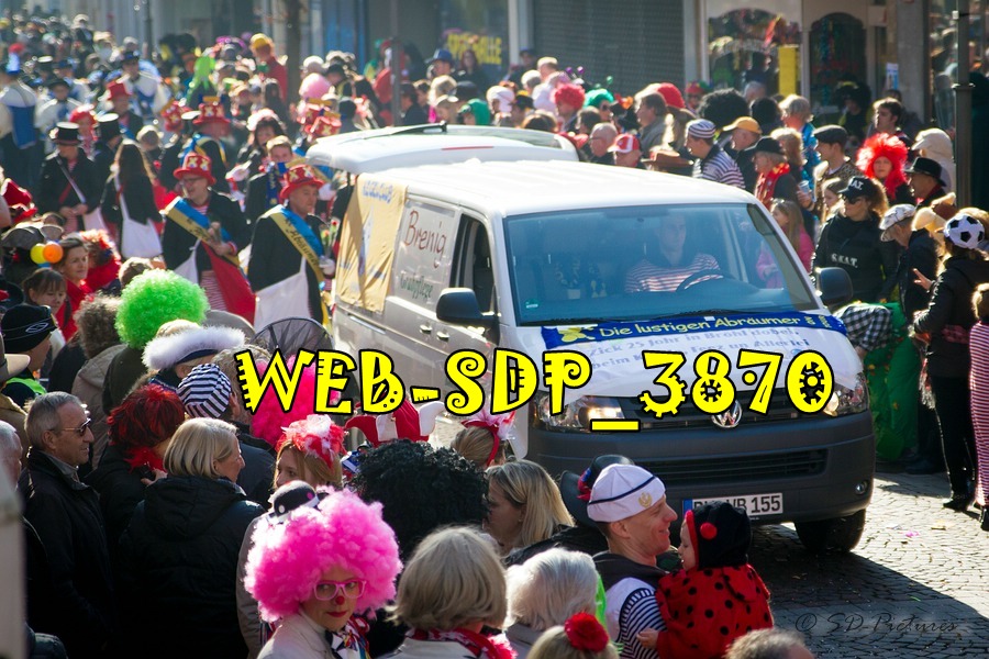 WEB SDP 3870