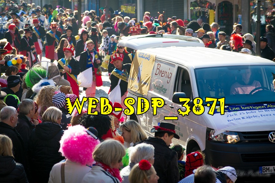 WEB SDP 3871