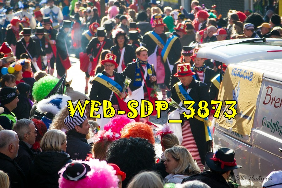 WEB SDP 3873