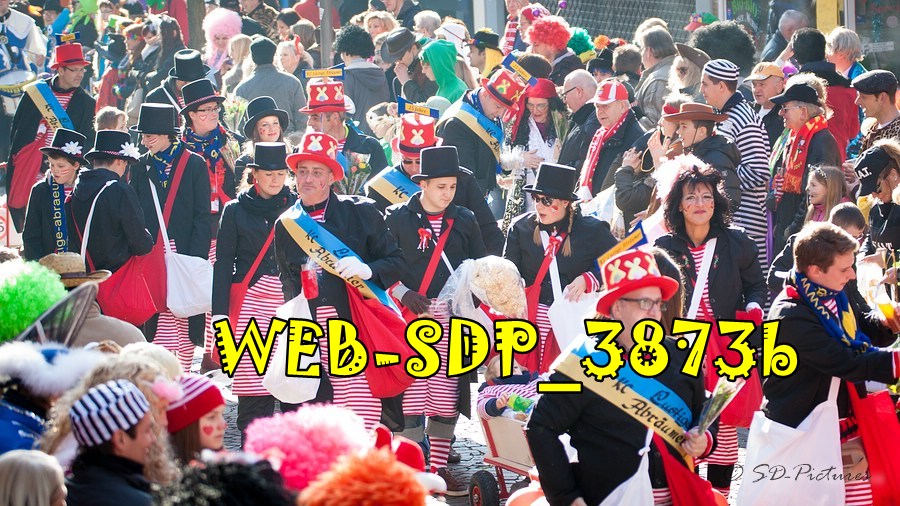 WEB SDP 3873b