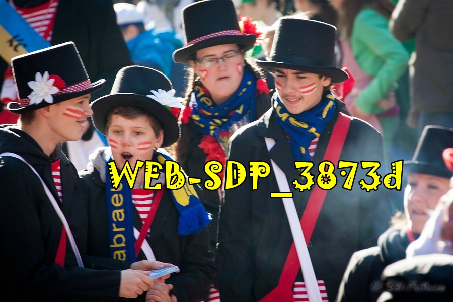 WEB SDP 3873d