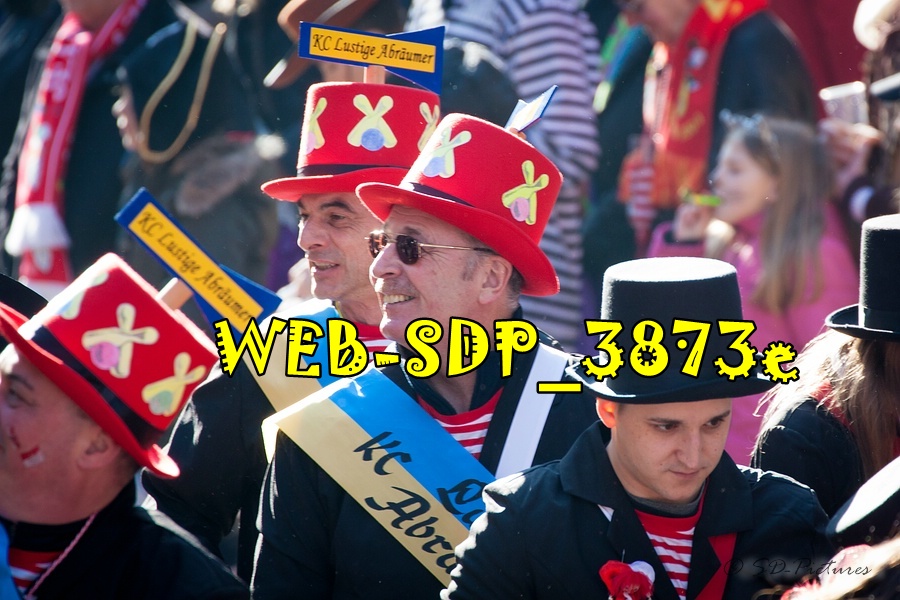 WEB SDP 3873e