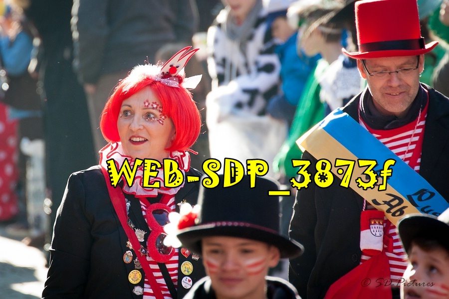 WEB SDP 3873f