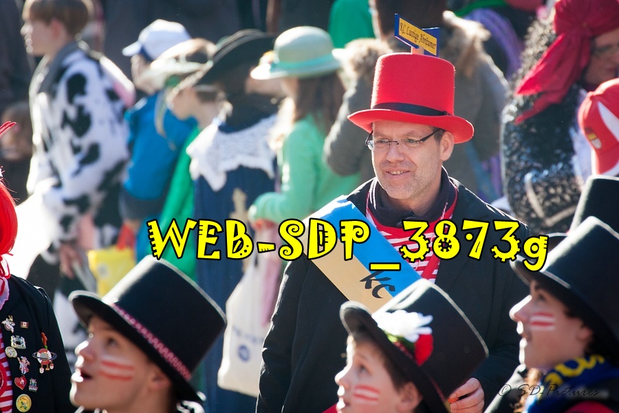 WEB SDP 3873g
