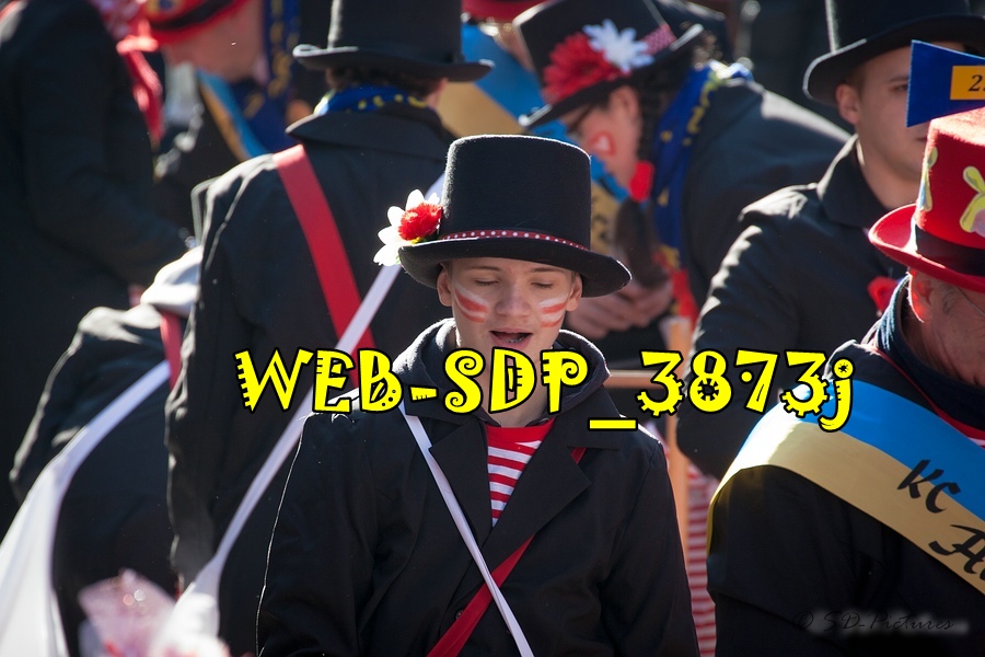 WEB SDP 3873j