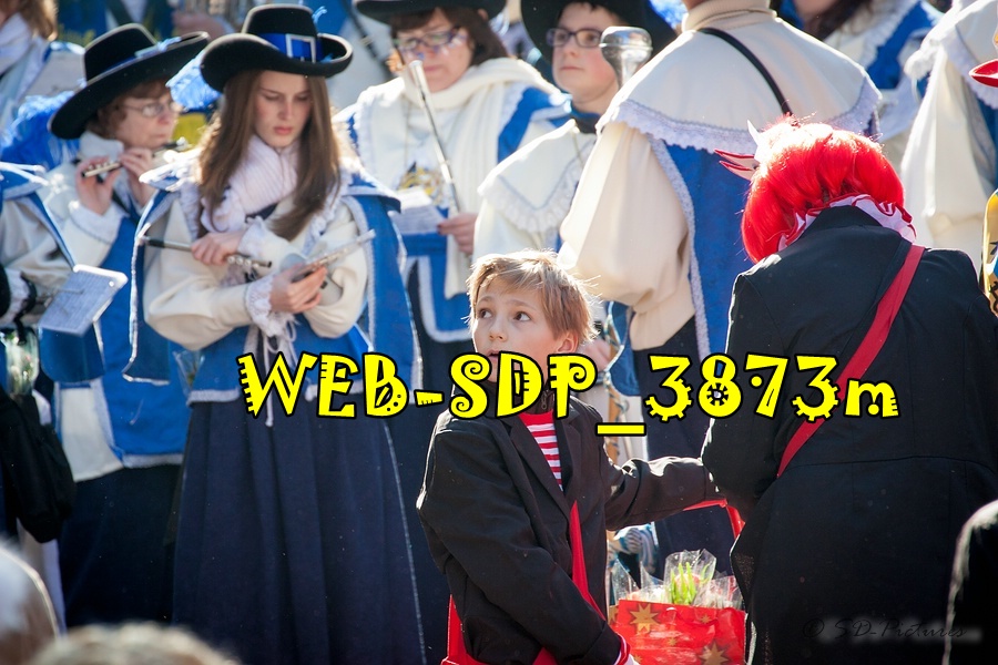 WEB SDP 3873m