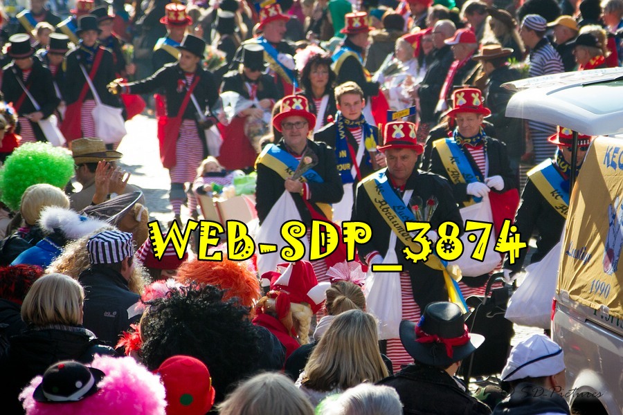 WEB SDP 3874
