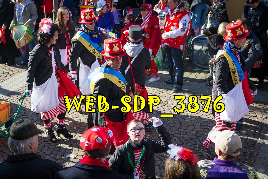 WEB SDP 3876