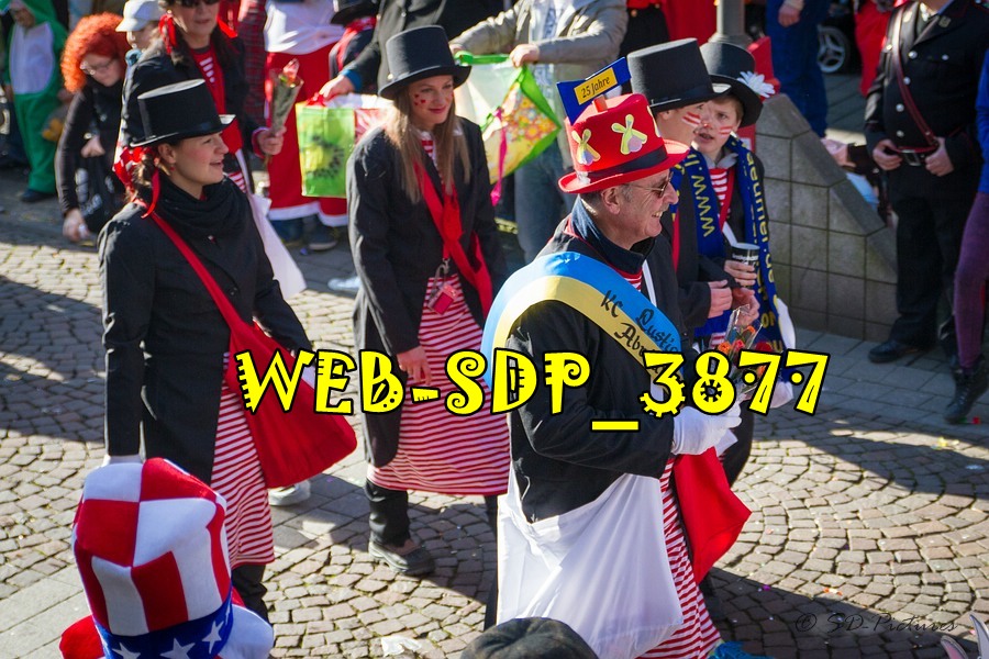 WEB SDP 3877