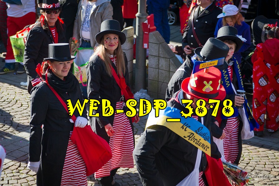 WEB SDP 3878