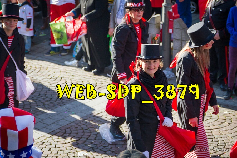 WEB SDP 3879