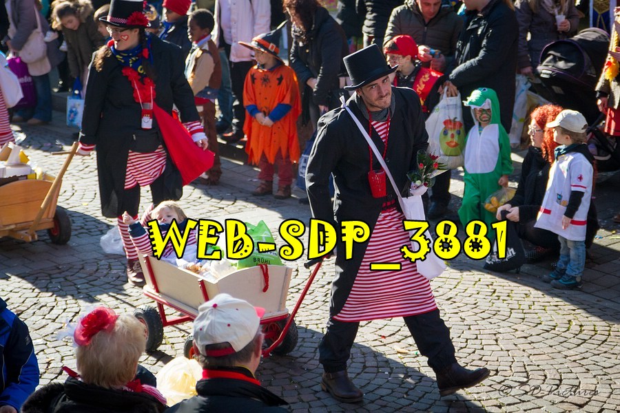 WEB SDP 3881