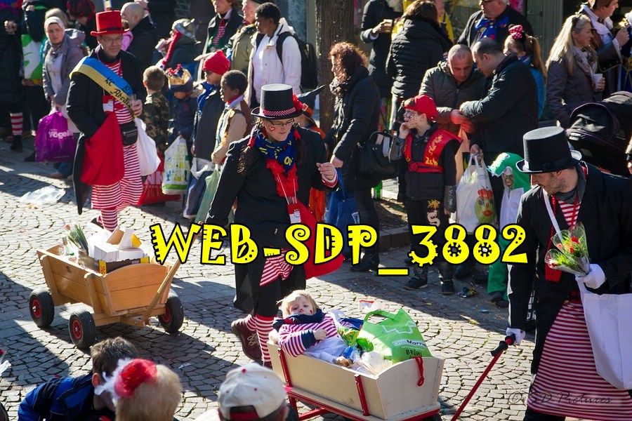 WEB SDP 3882